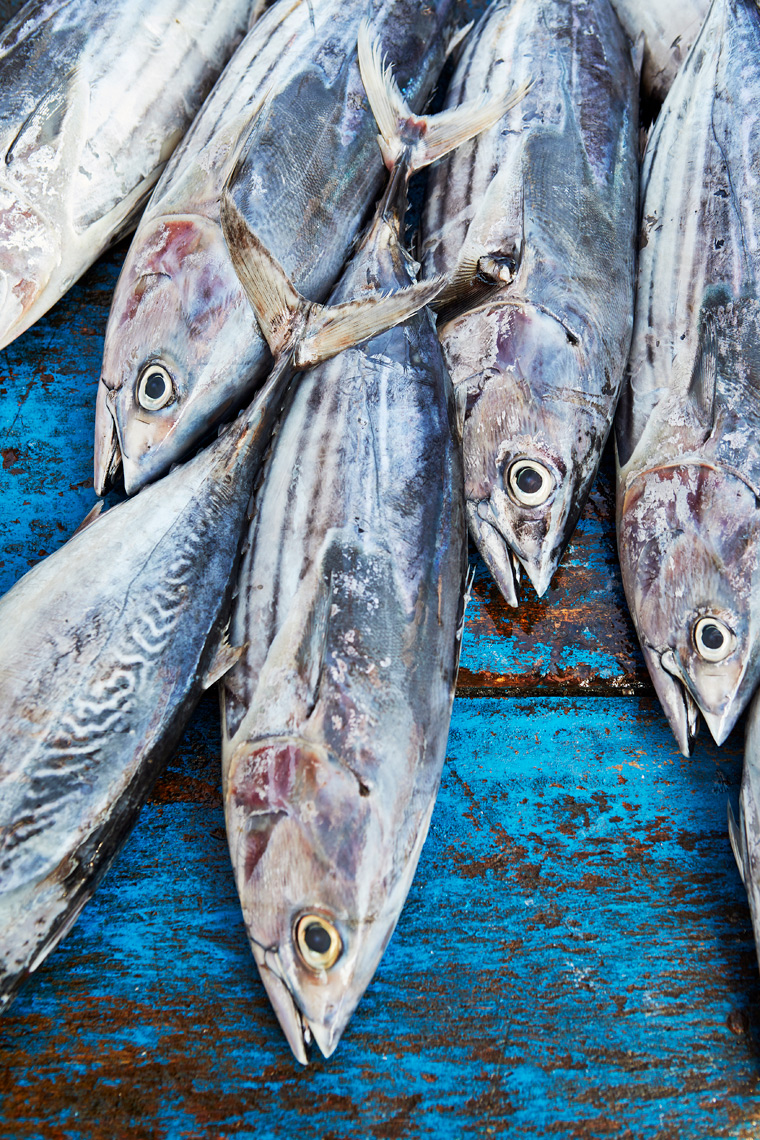 Negombo-Fish-Market-Sri-Lanka-web-5